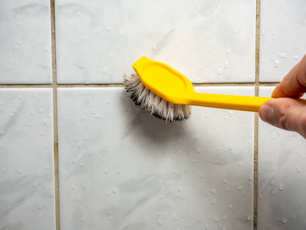 Best Black Mold Removal  in Sturgis, KY