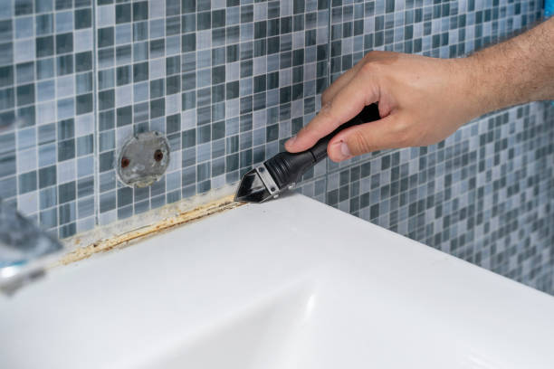 Mold Testing and Removal in Sturgis, KY